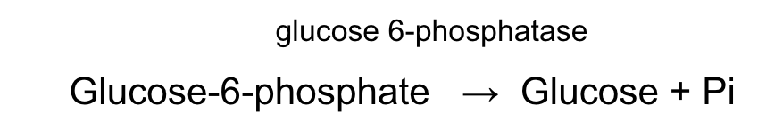 glucose 6-phosphatase reaction.png